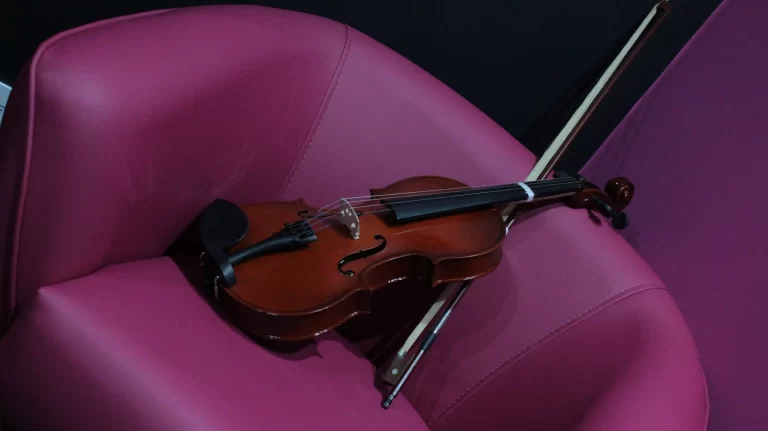 Corso di violino a Putignano